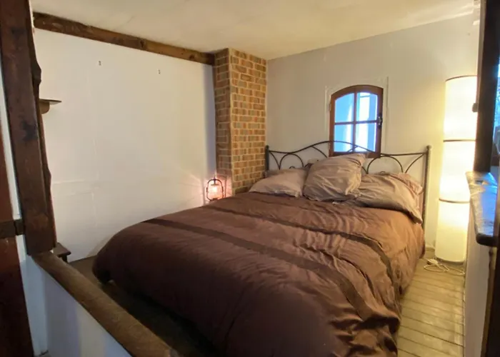 Cosy Trouville, Plage&centre à Pied Appartamento Trouville-sur-Mer